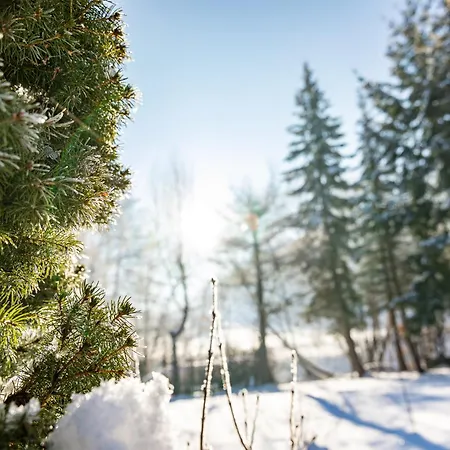Dom Nad Potokiem Z Sauna Hébergement de vacances Lipowa