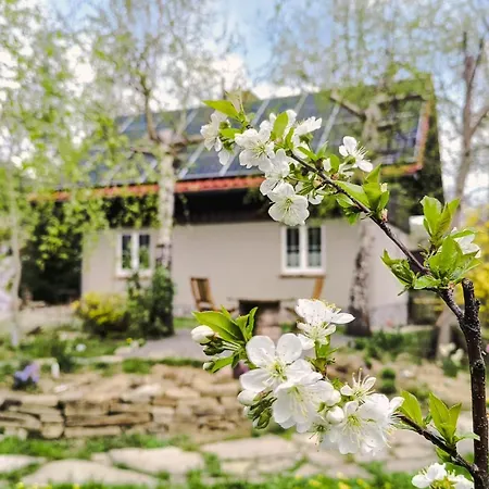 Dom Nad Potokiem Z Sauna Lipowa