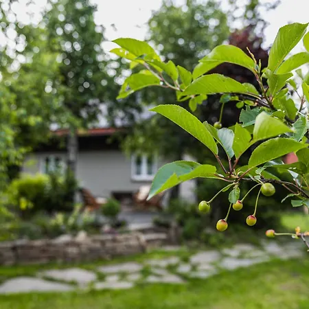 Dom Nad Potokiem Z Sauna Hébergement de vacances