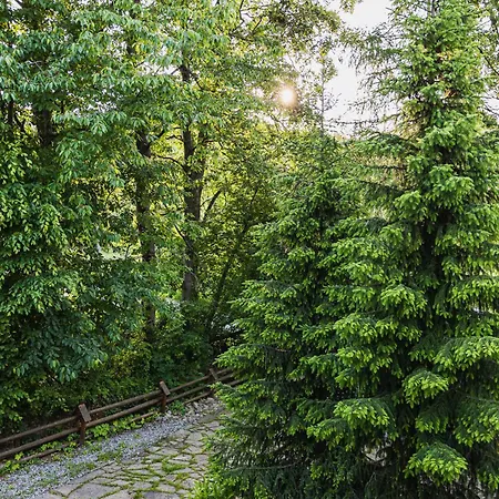 Dom Nad Potokiem Z Sauna