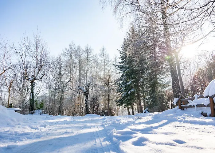 Dom Nad Potokiem Z Sauna *