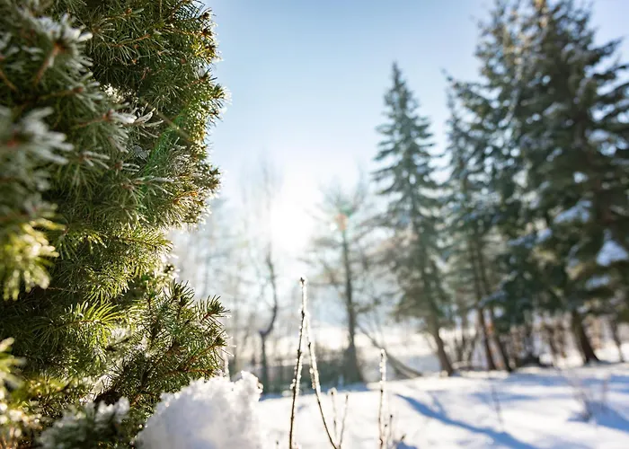 Dom Nad Potokiem Z Sauna Prázdninový dům Lipowa