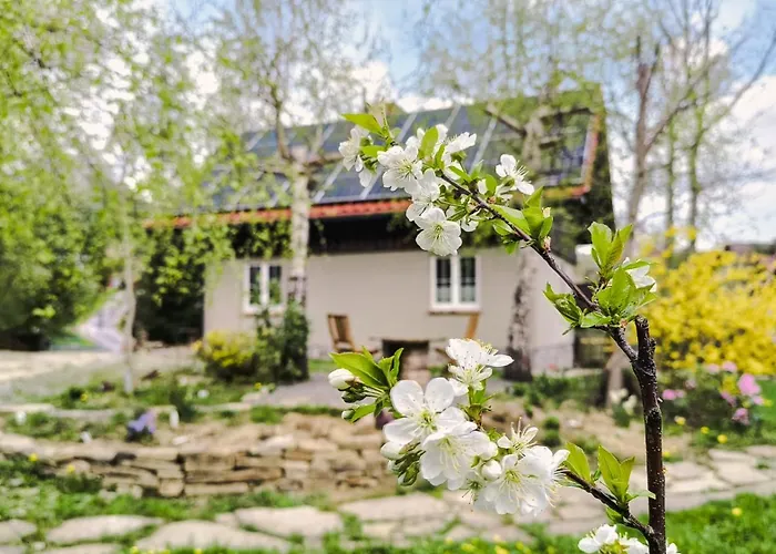 Dom Nad Potokiem Z Sauna Lipowa