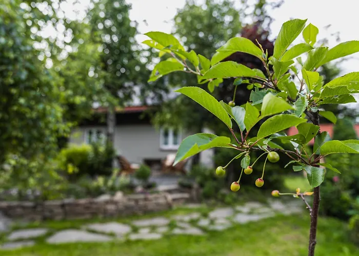 Dom Nad Potokiem Z Sauna Prázdninový dům